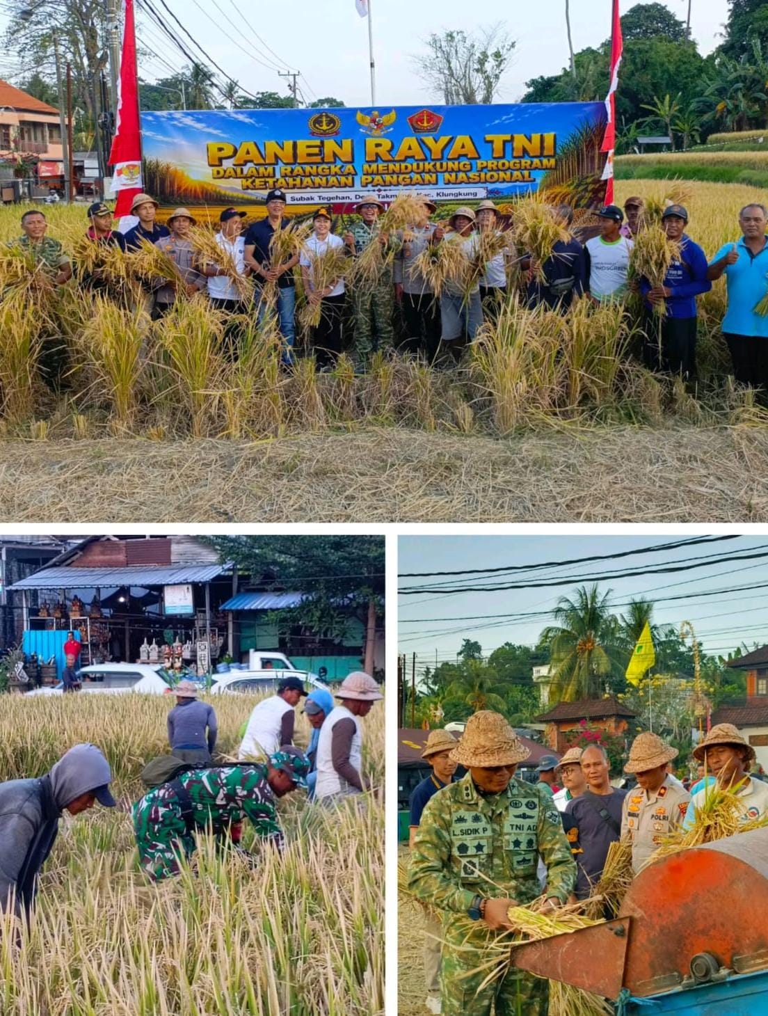 Panen Raya TNI, Letkol Sidik Pramono Sebut Wujud Pengabdian TNI Kepada Rakyat dan Bangsa