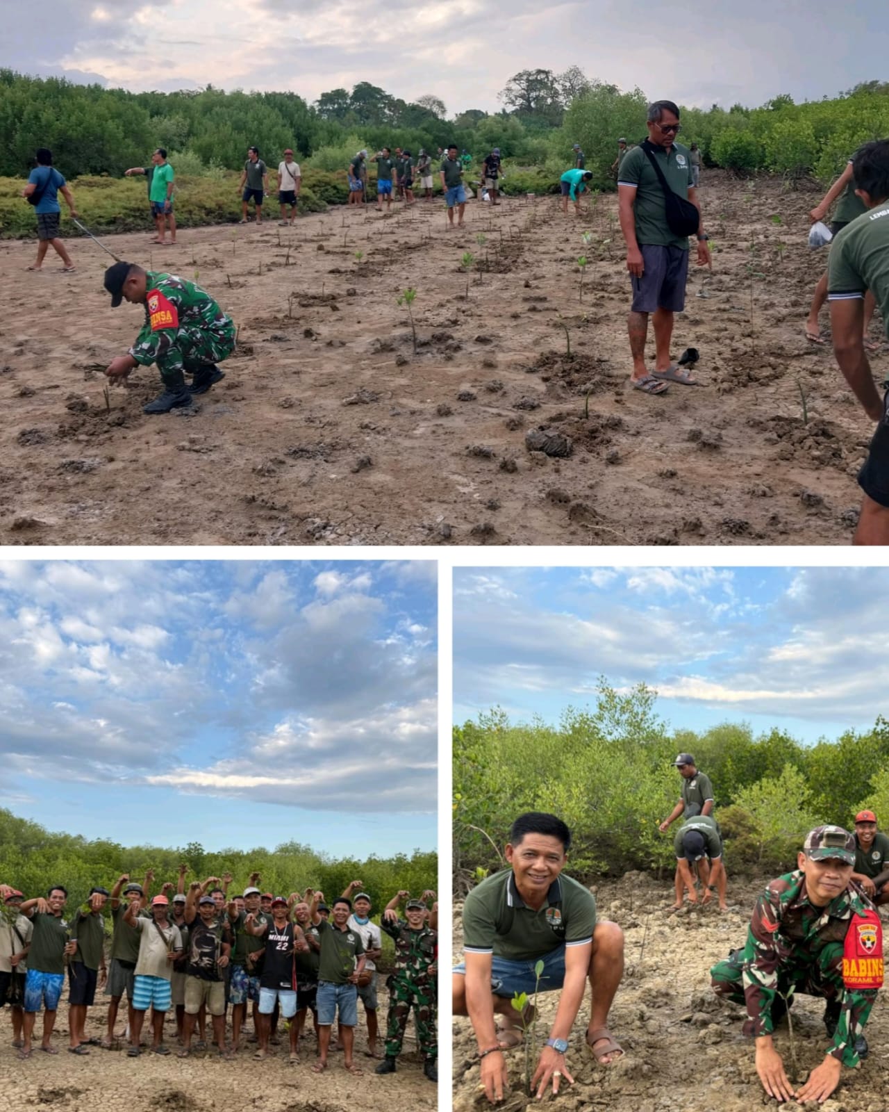 Peringatan Hari Mangrove Sedunia Tahun 2026 di Nusa Penida Diwarnai Kegiatan Tanam Mangrove